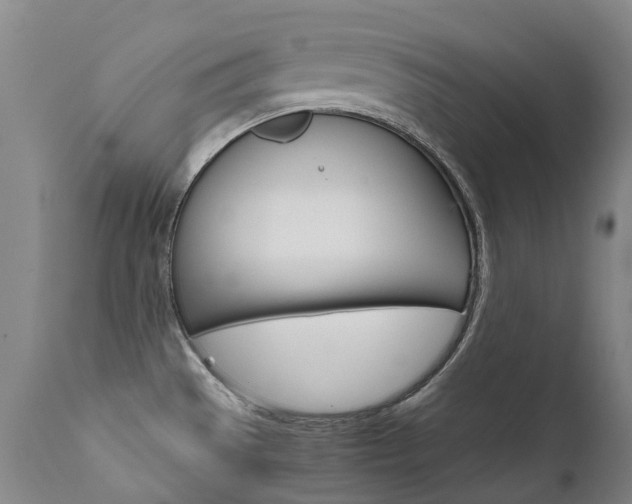 X0000111631529200907171116
