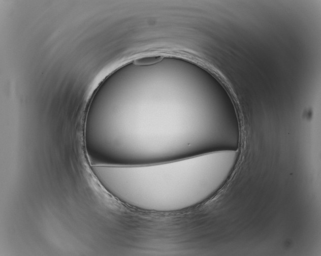 X0000111631530200907171116