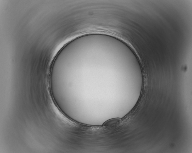 X0000111631531200907171116