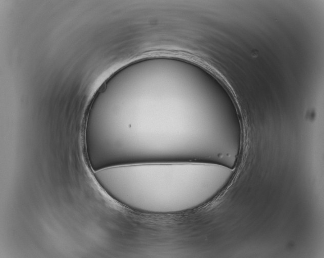 X0000111631533200907171116