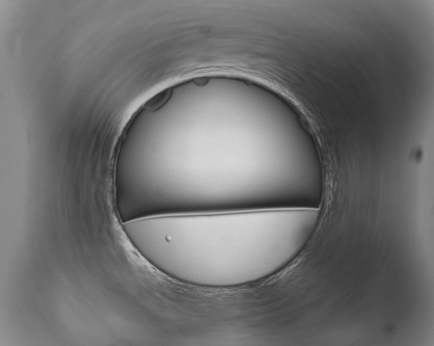 X0000111631534200907171116