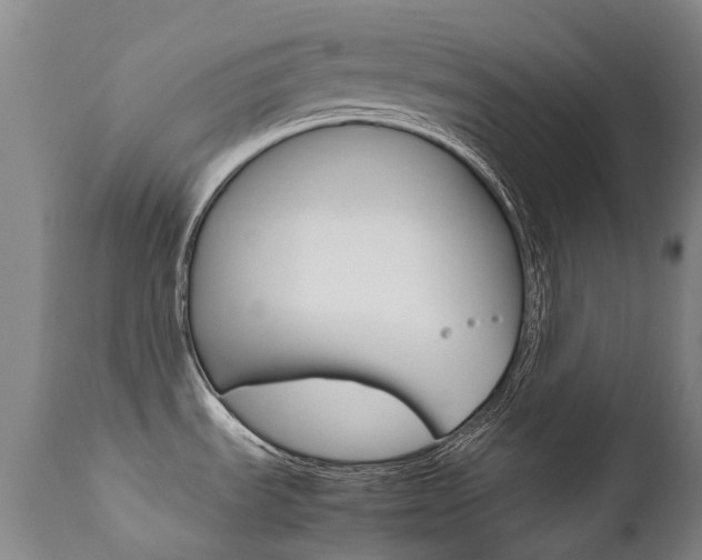 X0000111631535200907171116