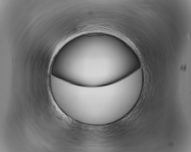 X0000111631536200907171116