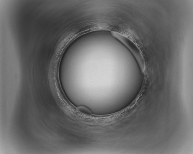 X0000111630001200907171536