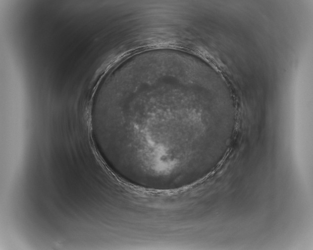 X0000111630002200907171536