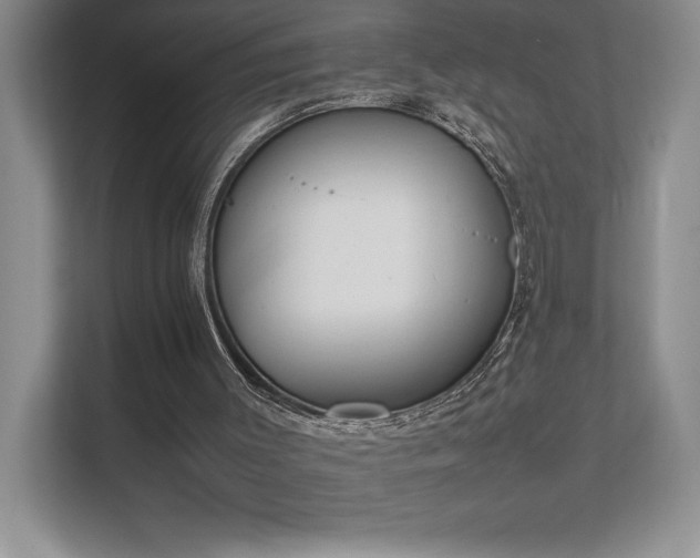 X0000111630003200907171536