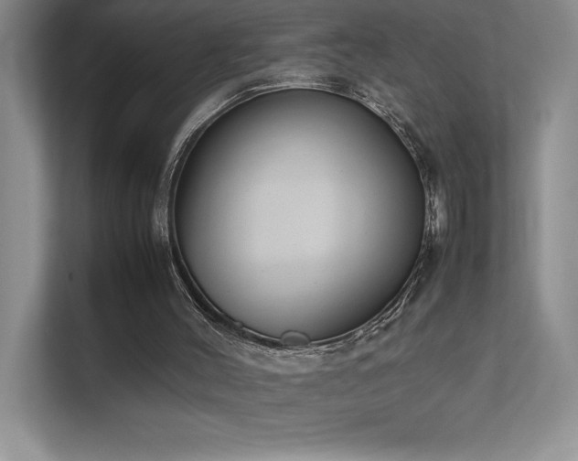 X0000111630004200907171536