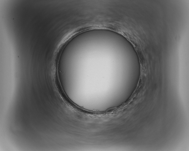 X0000111630005200907171536