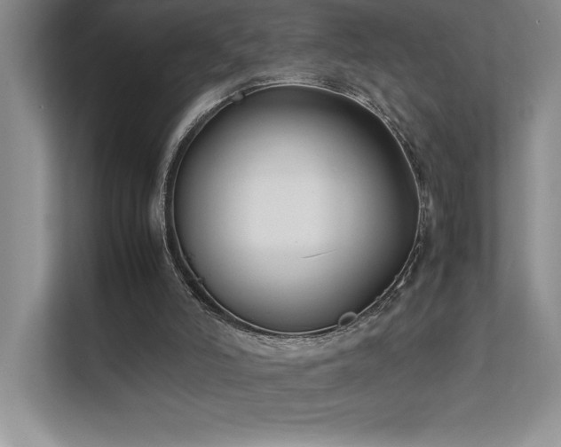 X0000111630006200907171536