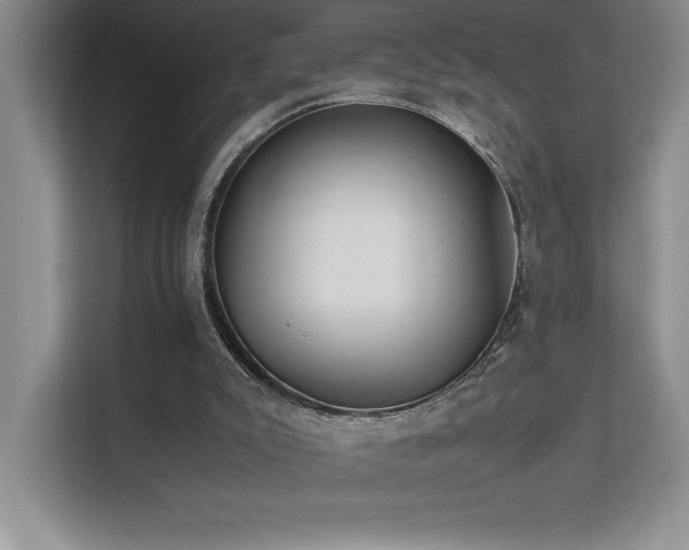 X0000111630007200907171536