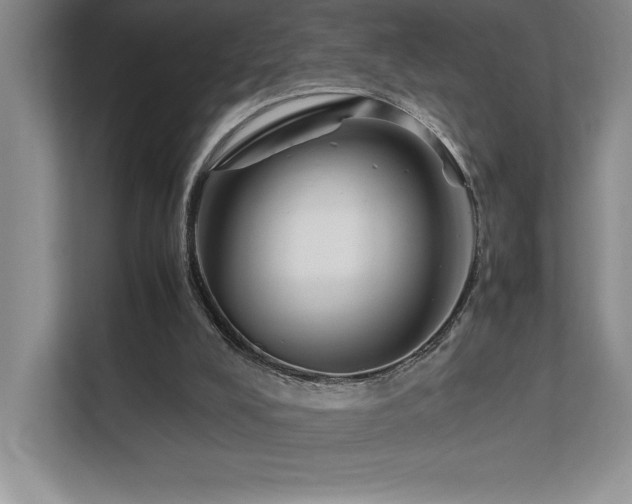 X0000111630008200907171536