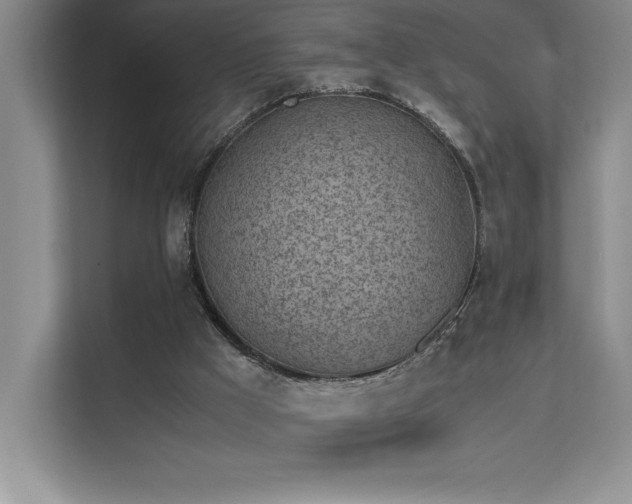 X0000111630009200907171536