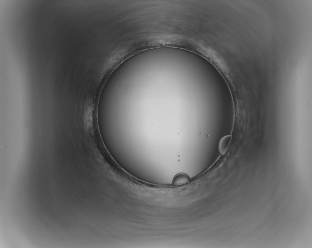 X0000111630010200907171536