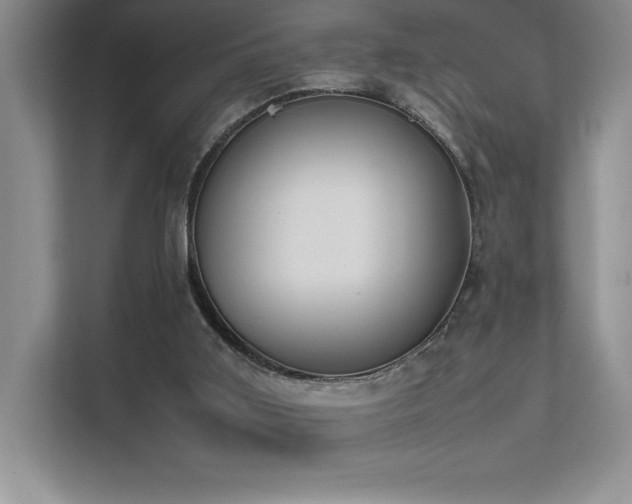 X0000111630011200907171536