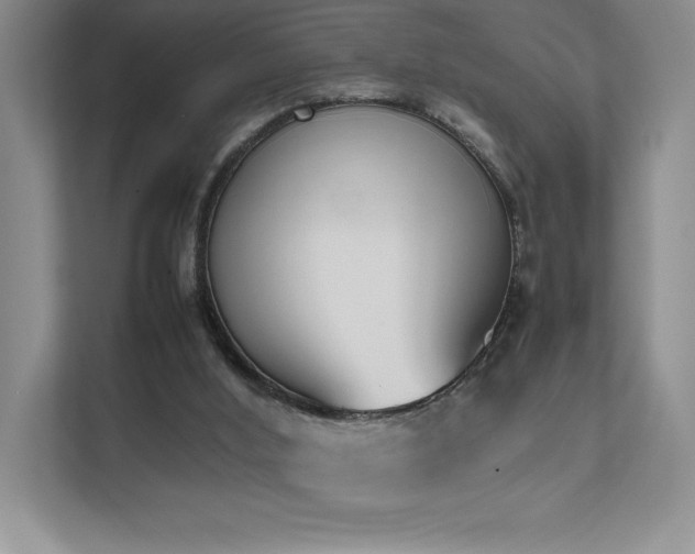 X0000111630012200907171536