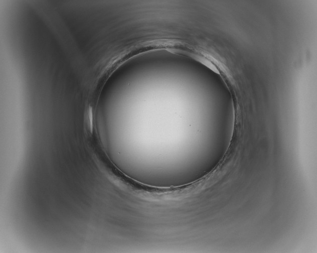 X0000111630013200907171536