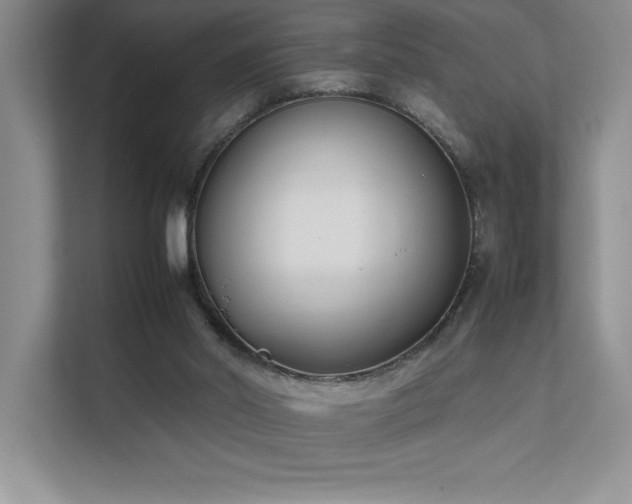 X0000111630014200907171536