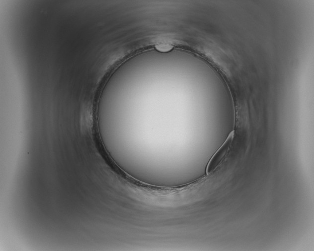 X0000111630015200907171536