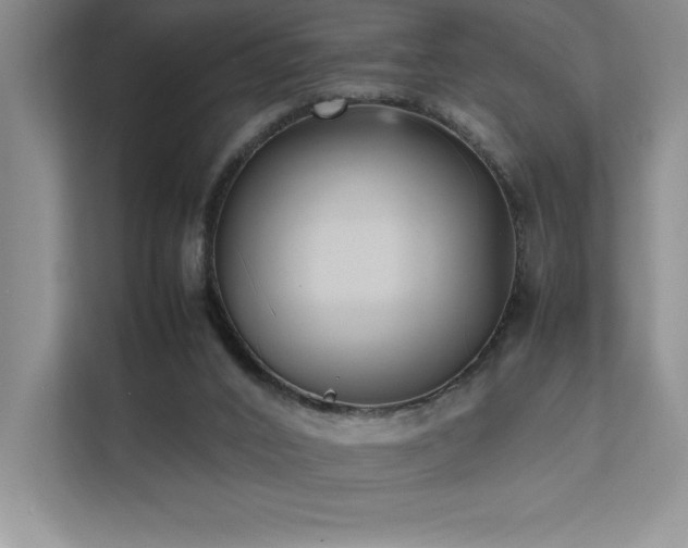 X0000111630016200907171536