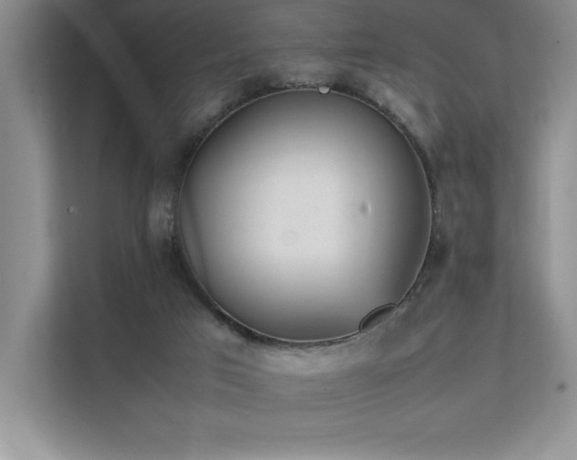 X0000111630017200907171536