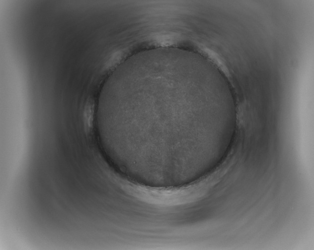 X0000111630018200907171536