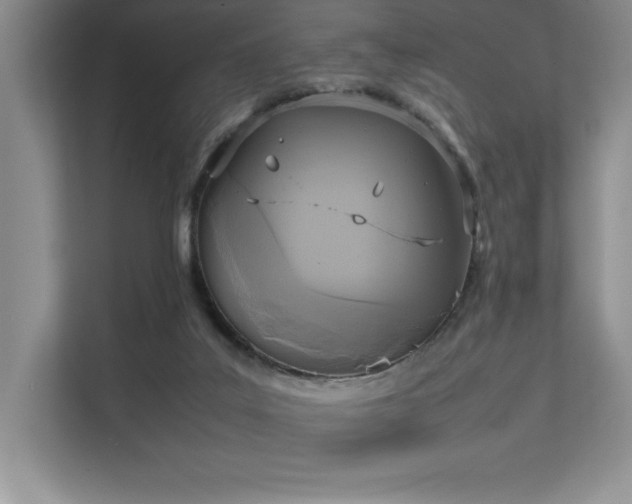 X0000111630019200907171536