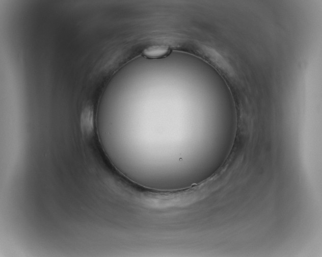 X0000111630021200907171536