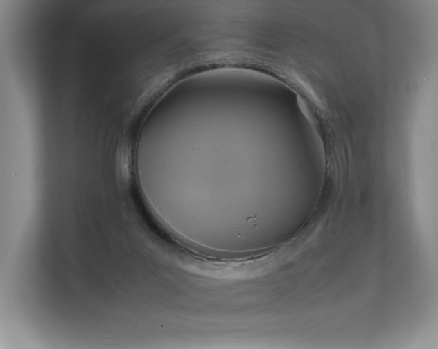 X0000111630023200907171536