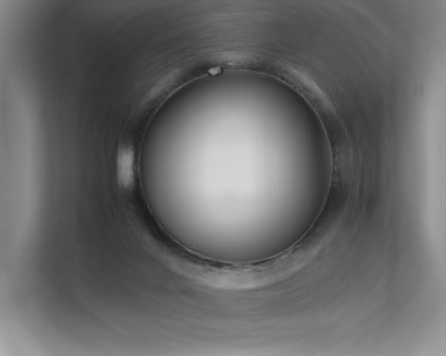 X0000111630024200907171536