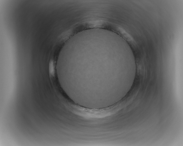 X0000111630026200907171536