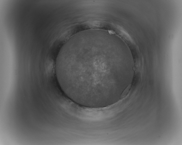 X0000111630029200907171536