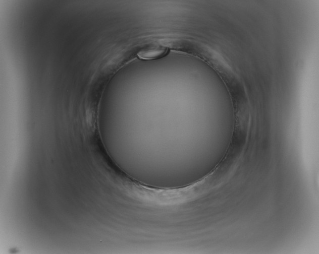 X0000111630031200907171536