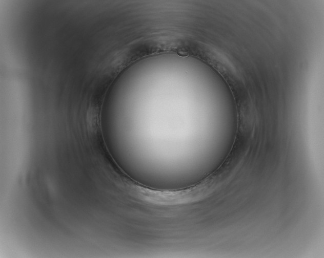 X0000111630034200907171536