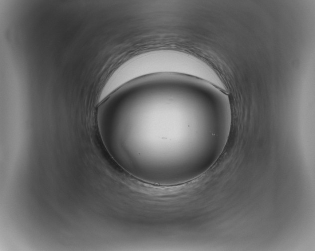 X0000111630035200907171536