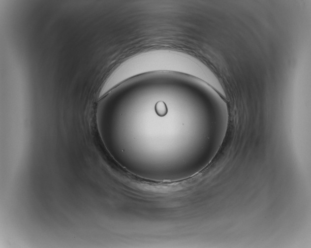 X0000111630036200907171536