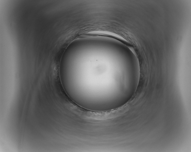 X0000111630037200907171535