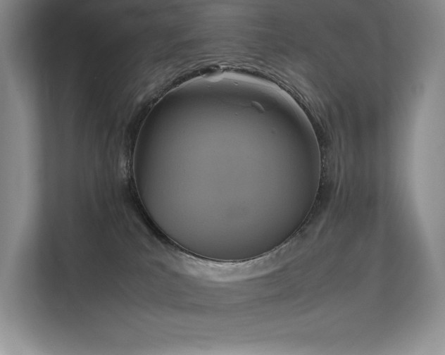 X0000111630039200907171535