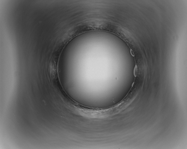 X0000111630040200907171535