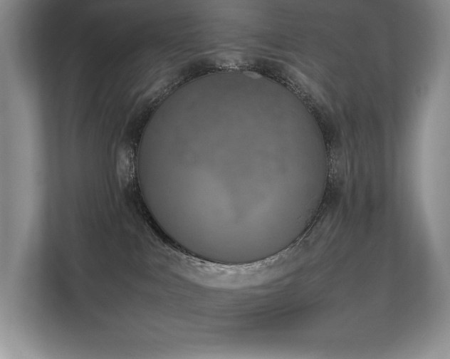 X0000111630043200907171535