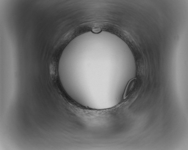 X0000111630044200907171535