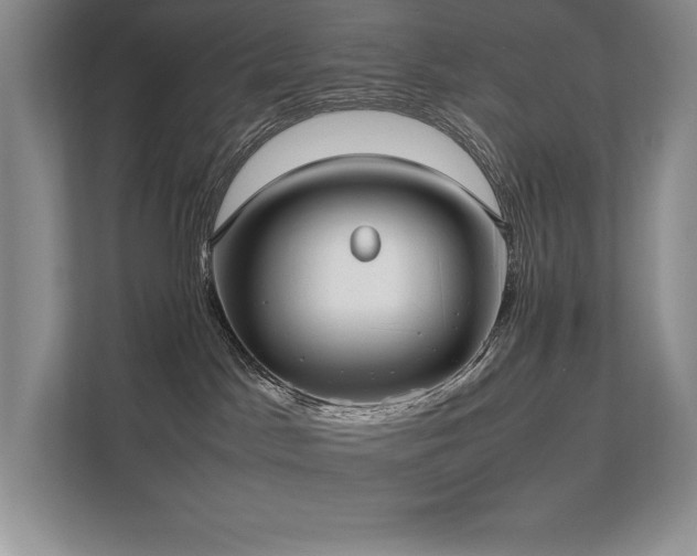 X0000111630045200907171535