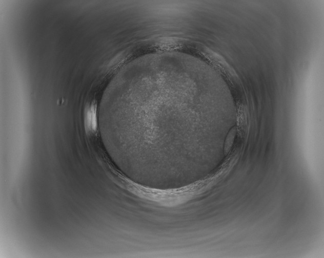 X0000111630046200907171535