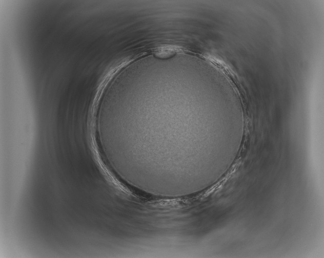 X0000111630049200907171535