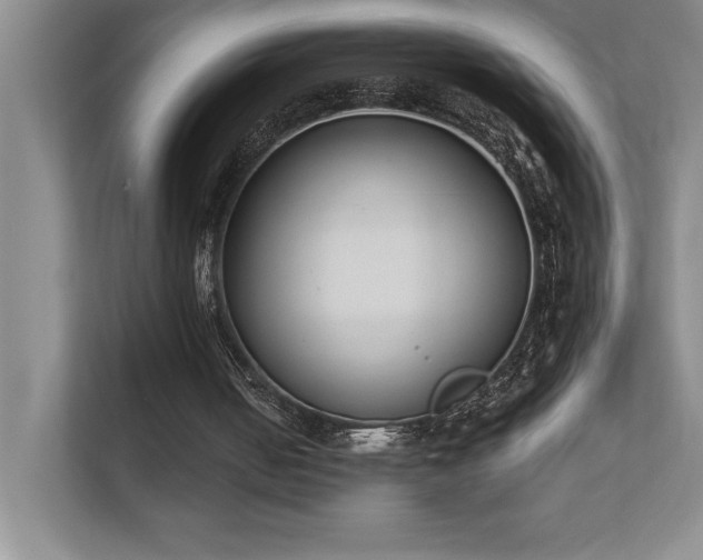 X0000111630050200907171535