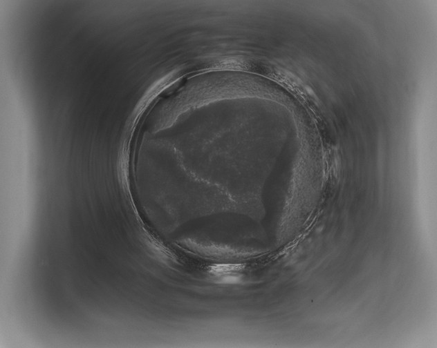 X0000111630051200907171535