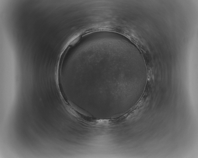 X0000111630052200907171535