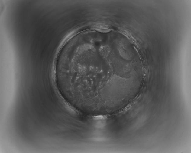 X0000111630053200907171535