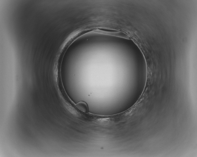 X0000111630054200907171535