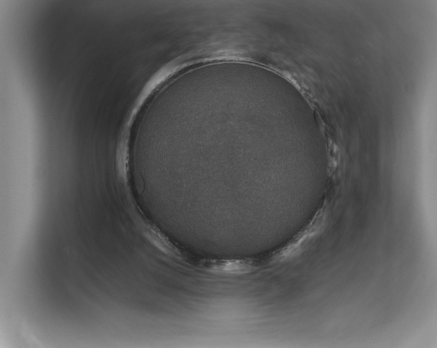 X0000111630056200907171535