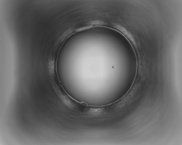 X0000111630057200907171535